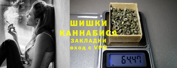 шишки Магас