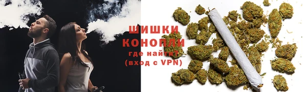 шишки Магас