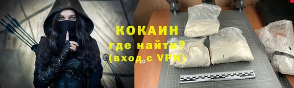 шишки Магас