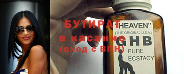 шишки Магас