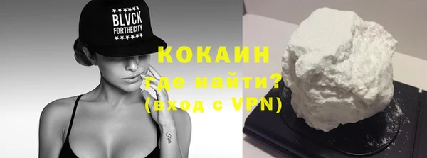 шишки Магас