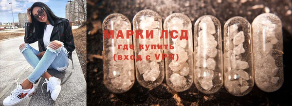 шишки Магас