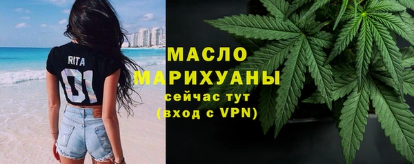 шишки Магас
