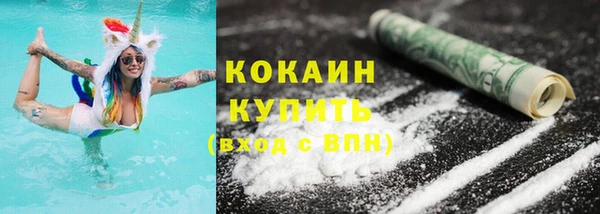 шишки Магас