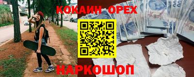 сатива Гай