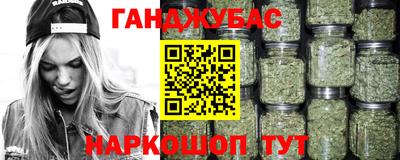сатива Гай
