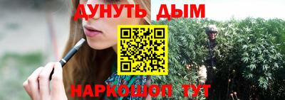 сатива Гай