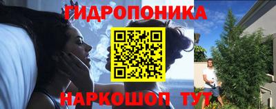 сатива Гай