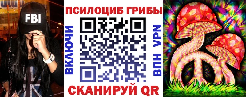 цена   Киреевск  блэк спрут маркетплейс  Галлюциногенные грибы Magic Shrooms 